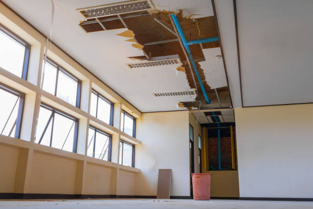 Best Water damage restoration process  in Marana, AZ