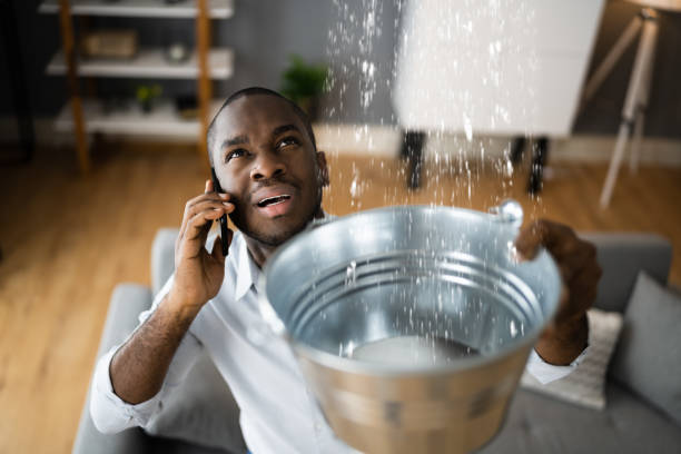 Best Sewage cleanup and water damage restoration  in Marana, AZ