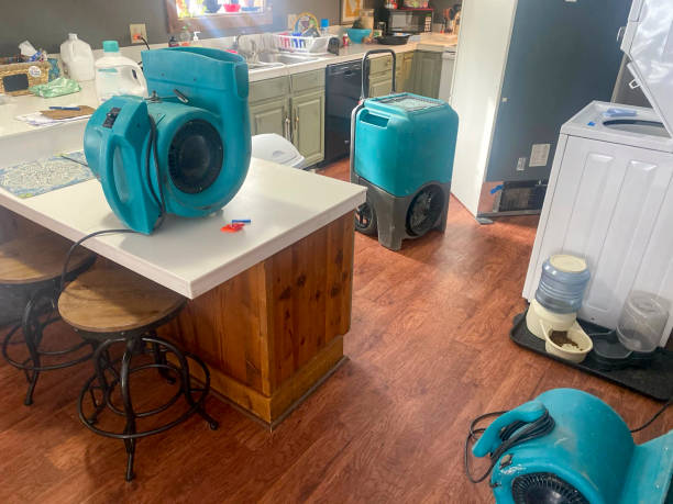 Best Fire Damage Restoration  in Marana, AZ
