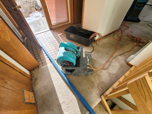Best Water damage restoration near me  in Marana, AZ
