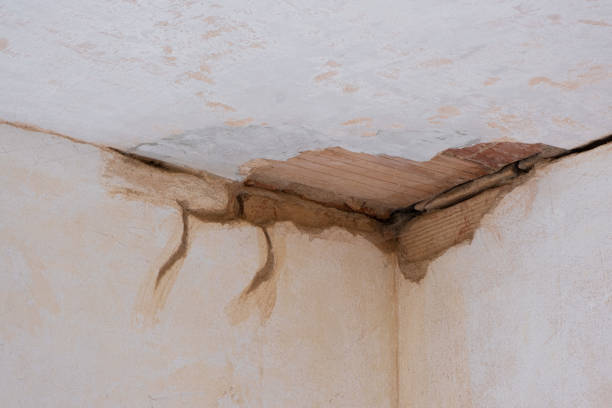 Trusted Marana, AZ Water damage restoration Experts