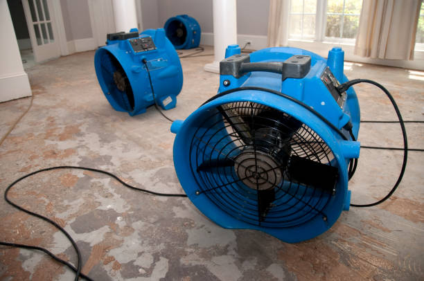 Best Mold removal after water damage  in Marana, AZ