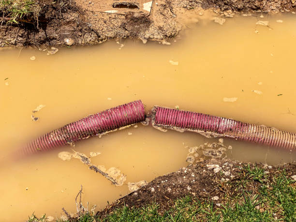 Best Residential water damage restoration  in Marana, AZ