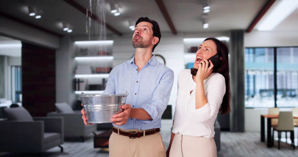Best Basement water damage restoration  in Marana, AZ