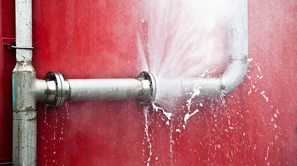 Best Professional water damage repair  in Marana, AZ
